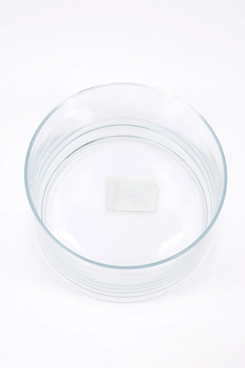 Muy Mucho Round Center Vase, Clear