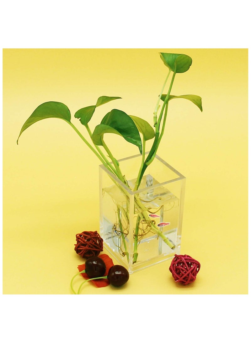 2 Pack Clear Acrylic Pencil Pen Holder Cup, Desk Accessories Holder, Makeup Brush Storage Organizer, Modern Design Desktop Stationery Organizer for Office School Home Supplies, 10*6.5*6.5cm, Clear - Image 5