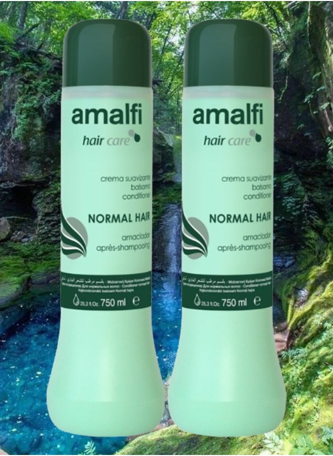 2 Pieces Amalfi Conditioner For Normal Hair 750ML - pzsku/ZC50F46AC2A32297DF48EZ/45/_/1721413438/a195758d-0601-4c89-84f5-cf67433f3a1c