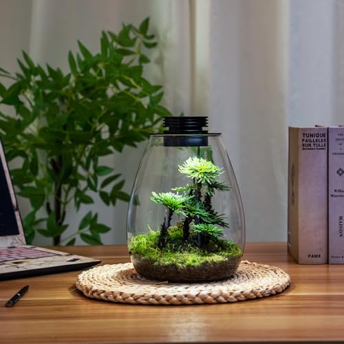 AREPK Desktop Glass Terrarium with Grow Light (H:7.8" D:6.7"), for Succulent, Moss, Miniature Gardening Landscape, Betta Fish Tank, Indoor Plant Growth, Office Home Decoration, Plant Lovers Gifts - Image 5
