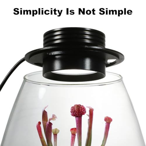 AREPK Desktop Glass Terrarium with Grow Light (H:7.8" D:6.7"), for Succulent, Moss, Miniature Gardening Landscape, Betta Fish Tank, Indoor Plant Growth, Office Home Decoration, Plant Lovers Gifts - Image 2