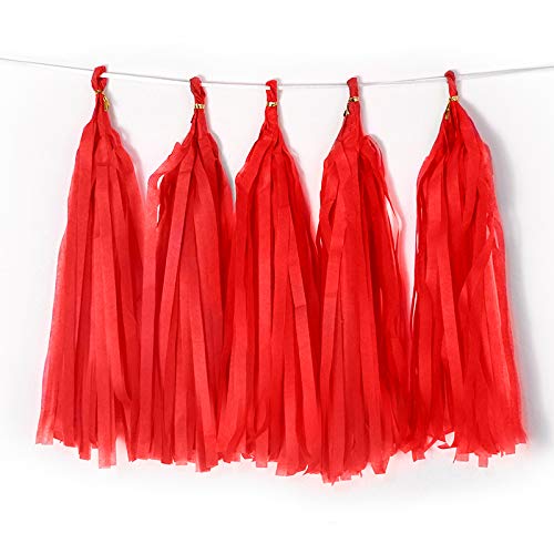 Binpeng 9.8in Red PaperTissue Paper Tassel DIY Hanging paper decorations Party Garland Decor for Party Decorations Wedding,Festival,Baby Shower Decoration 20PCS (deep red 25cm) - Image 1