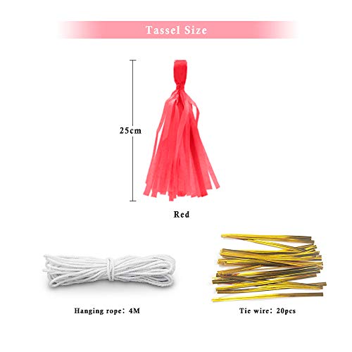 Binpeng 9.8in Red PaperTissue Paper Tassel DIY Hanging paper decorations Party Garland Decor for Party Decorations Wedding,Festival,Baby Shower Decoration 20PCS (deep red 25cm) - Image 2