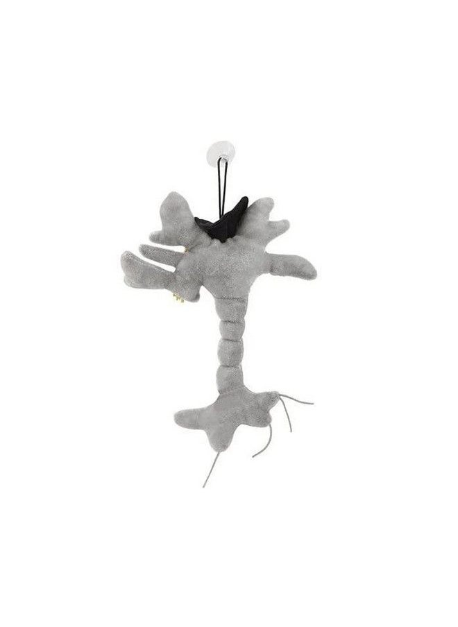 Giant Microbes Giantmicrobes Graduation Brain Cell Plush Celebrate With Our Signature Brain Cell Plush Donning A Graduation Cap And Tassel Uniquely Fun Student Gift To Commemorate Achievements  - Image 5