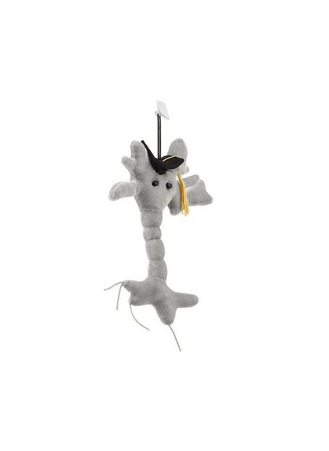 Giant Microbes Giantmicrobes Graduation Brain Cell Plush Celebrate With Our Signature Brain Cell Plush Donning A Graduation Cap And Tassel Uniquely Fun Student Gift To Commemorate Achievements  - Image 4