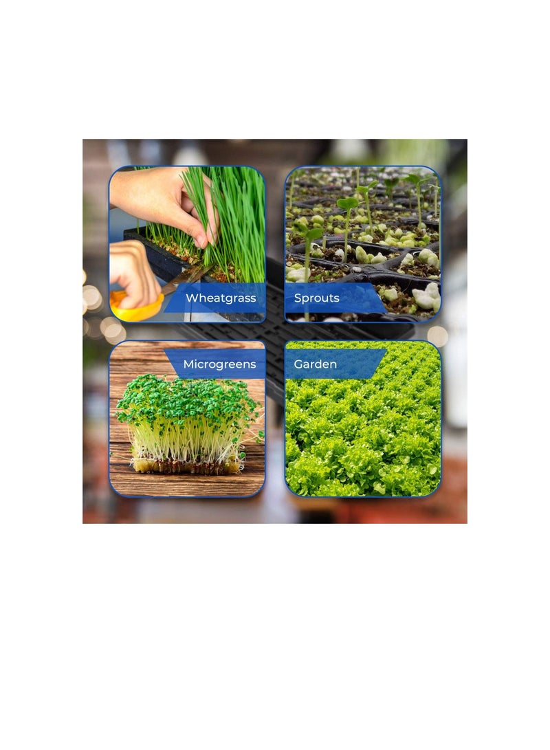 Generic Pratico Outdoors Seed Starter and Plant Propagation Tray, No Drain Holes, 10 x 20 inch, 5 Pack  - Image 3