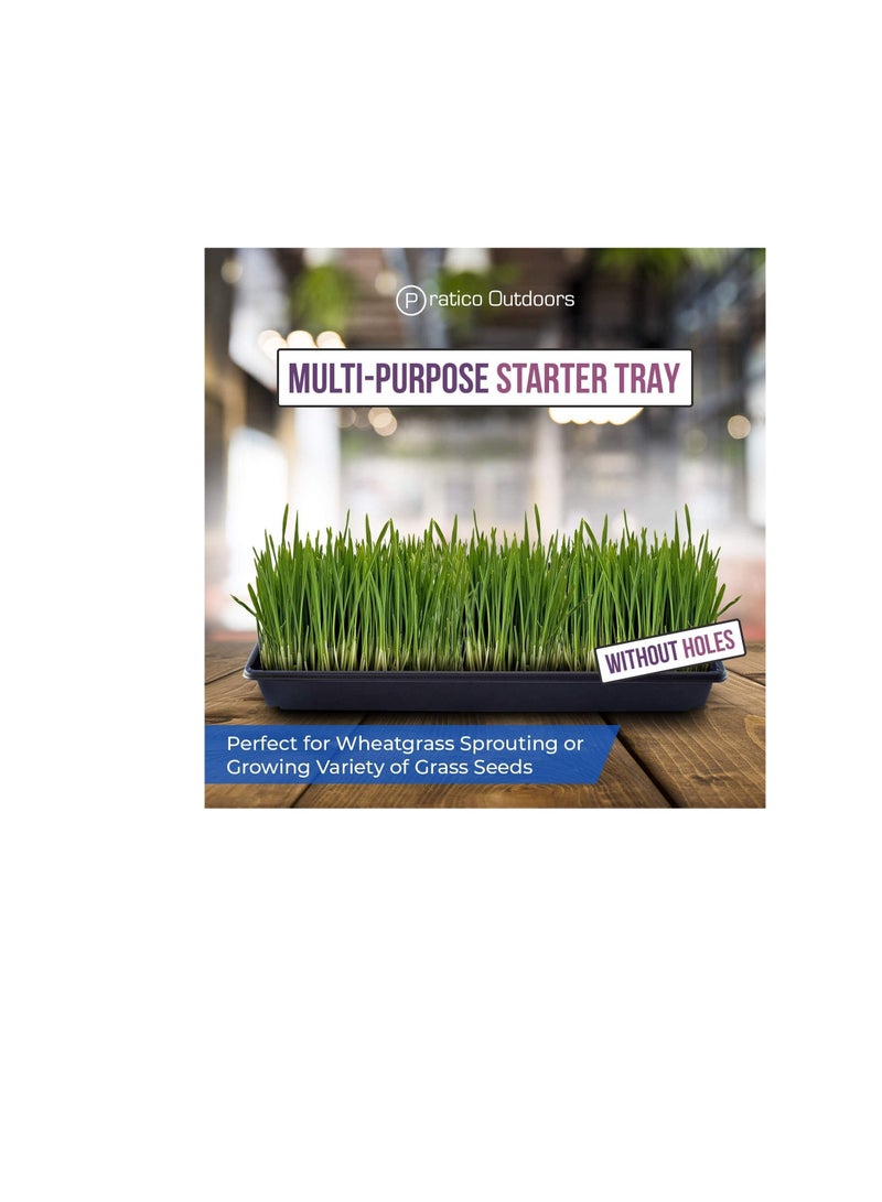 Generic Pratico Outdoors Seed Starter and Plant Propagation Tray, No Drain Holes, 10 x 20 inch, 5 Pack  - Image 2