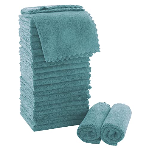 MOONQUEEN Ultra Soft Premium Washcloths Set  12 x 12 inches  24 Pack  Quick Drying  Highly Absorbent Coral Velvet Bathroom Wash Clothes  Use as Bath Spa Facial Fingertip Towel Teal