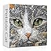PPuzzling Cat Puzzles for Adults 1000 Pieces Challenging Stone Mosaic Cats Jigsaw Puzzles Nature Pebble Kitten Animal Puzzle as Home Decor - Image 2