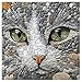 PPuzzling Cat Puzzles for Adults 1000 Pieces Challenging Stone Mosaic Cats Jigsaw Puzzles Nature Pebble Kitten Animal Puzzle as Home Decor - Image 4