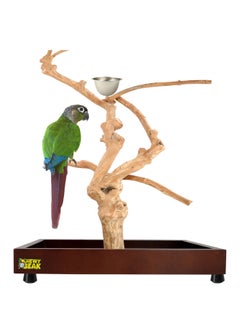 CHEWY BEAK Bird Stand Table Top Natural wooden Parrot Play Stand Indonesian Java wood Tree Perches with Stainless steel feeder small size  - Image 1