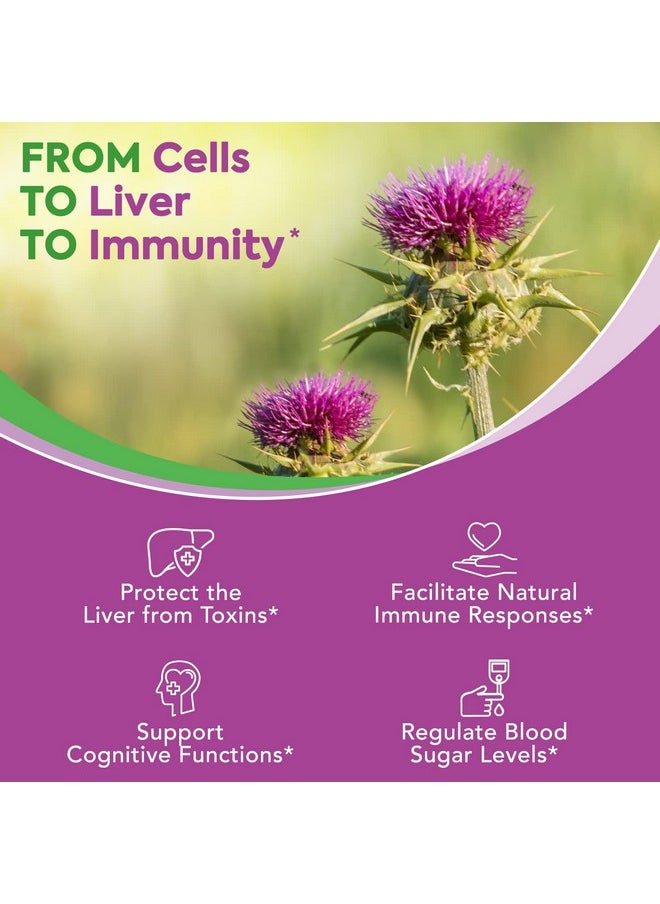 Surebounty - Organic Milk Thistle 9000 Mg Equivalent 30X Concentrated Seed Extract With 80% Silymarin Liver Cleanse Detox For Men + Women Once Daily 90 Veggie Caps - Image 1