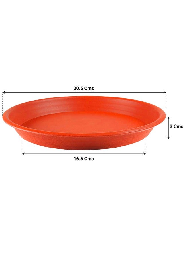 TrustBasket UV Treated Round Bottom Tray(Plate/Saucer) Suitable for 10 inch Round Plastic Pot-Terracotta Color-Set of 6 | Heavy Duty Highly Durable Plant saucer Gamla for Indoor Home Decor & Outdoor Balcony Garden - Image 2