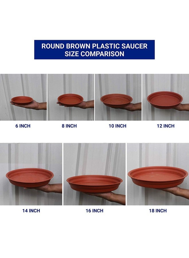 TrustBasket UV Treated Round Bottom Tray(Plate/Saucer) Suitable for 10 inch Round Plastic Pot-Terracotta Color-Set of 6 | Heavy Duty Highly Durable Plant saucer Gamla for Indoor Home Decor & Outdoor Balcony Garden - Image 4