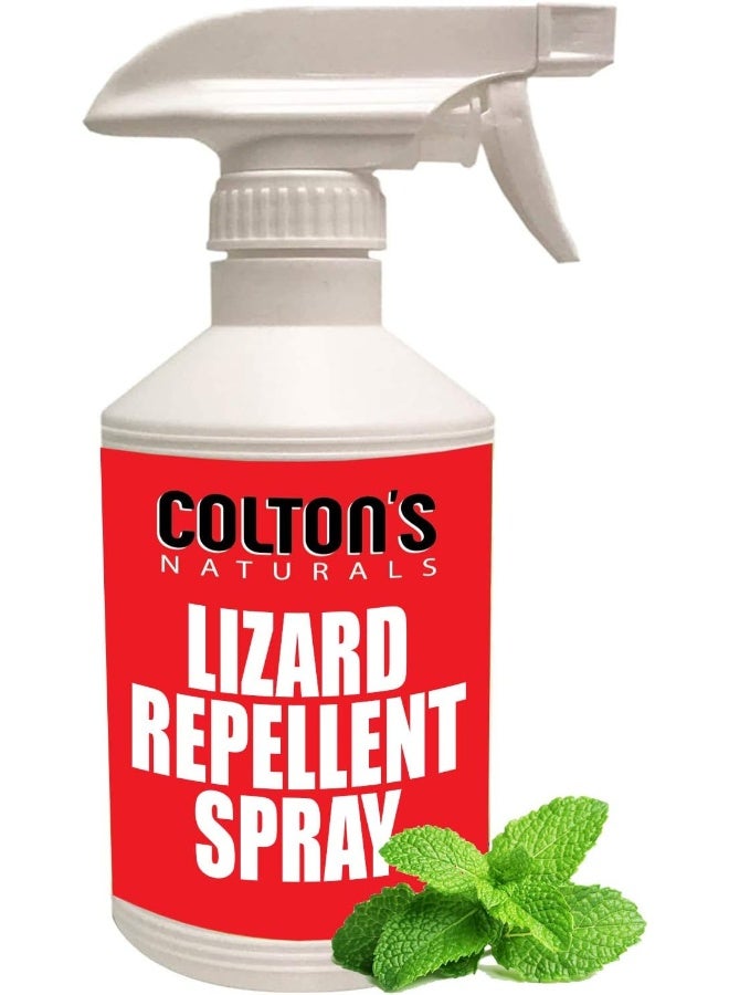 Generic Colton's Naturals Lizard Repellent 32 Oz Spray 100% Natural Gecko Reptile Deterrent Outdoor Or Indoor  - Image 3