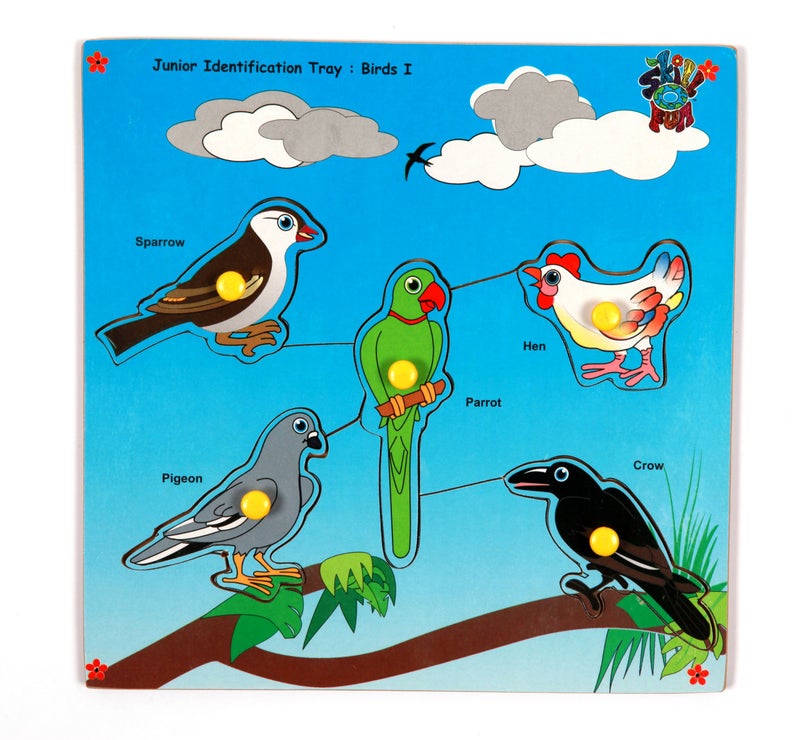 Skillofun Wooden Junior Identification Tray, Non-Toxic eco-Friendly Toy Encourages Interactive Bird Identification Learning for Toddlers | Multi-Color Durable Educational Tool with knobs - Image 3