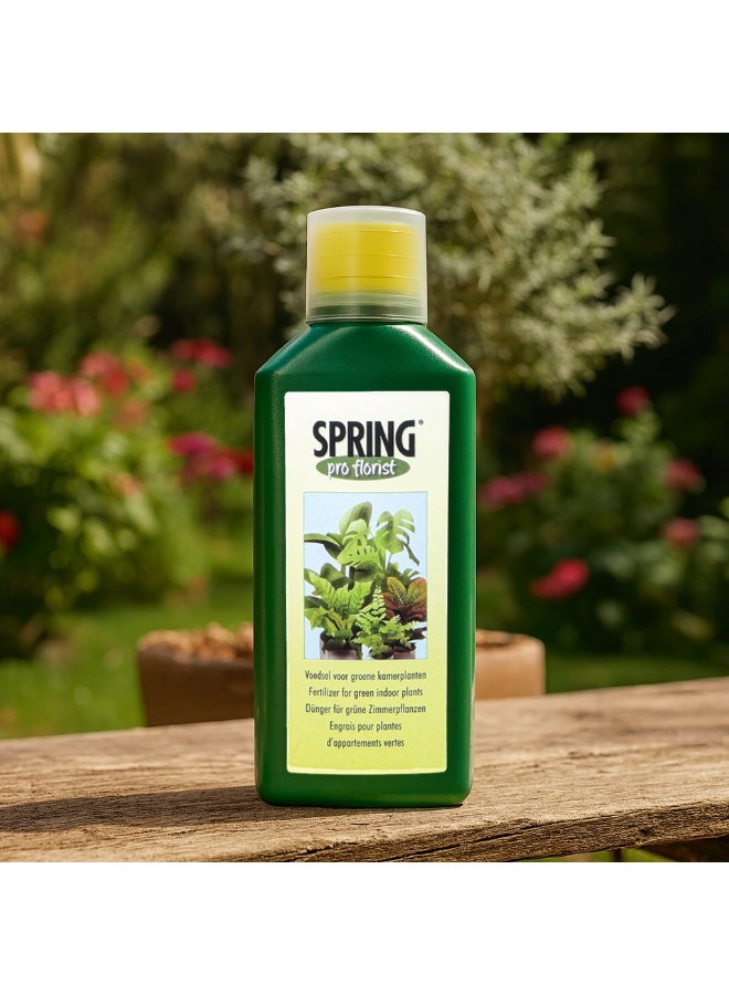 SPRING سماد للنباتات الداخلية الخضراء 500 مل - Image 2