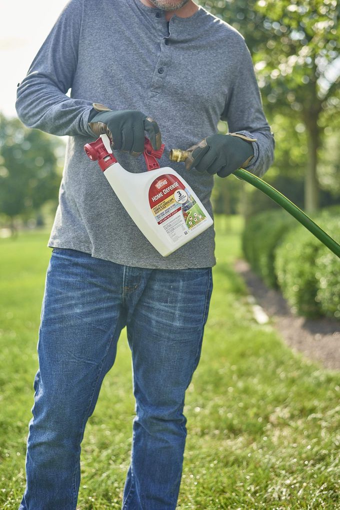 Ortho Home Defense Insect Killer For Lawn & Landscape Ready-To-Spray Treats Up To 5,300 Sq. Ft., Kills Ants, Ticks, Mosquitoes, Fleas & Spiders, Starts Killing Within Minutes, 32 Oz. - Image 2