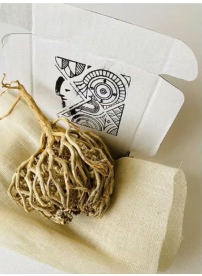 Zahr Jericho rose Anastatica hierochuntica Maryam Flower, Mary's flower The Resurrection Plant ( Pack of 5 ) - Image 2