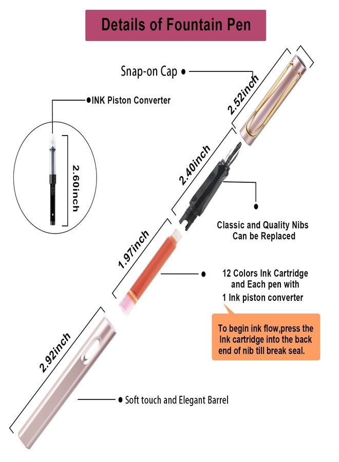 TIANREN Calligraphy Pen set,Fountain Pens with 8 Different Replaceable Nibs with 60 Ink Cartridges(12 Colors),Calligraphy set for Beginner Writing Drawing. - Image 2