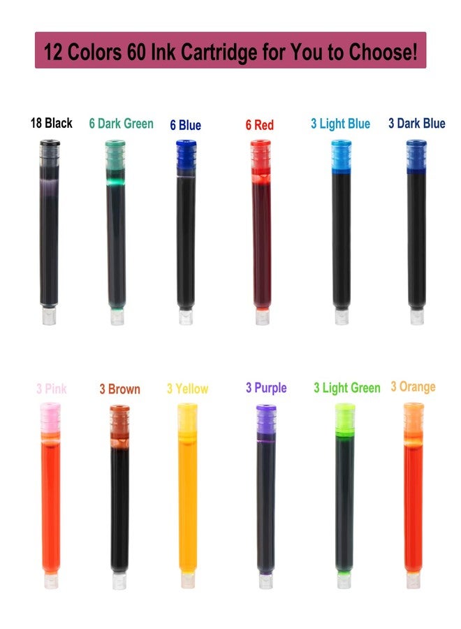 TIANREN Calligraphy Pen set,Fountain Pens with 8 Different Replaceable Nibs with 60 Ink Cartridges(12 Colors),Calligraphy set for Beginner Writing Drawing. - Image 5