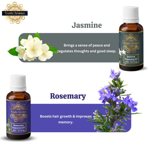 Exotic Aromas Essential Oil Lavender, Tea Tree, Rosemary, Rose, Jasmine (Pack of 5) - Image 4