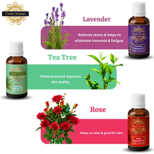 Exotic Aromas Essential Oil Lavender, Tea Tree, Rosemary, Rose, Jasmine (Pack of 5) - Image 3