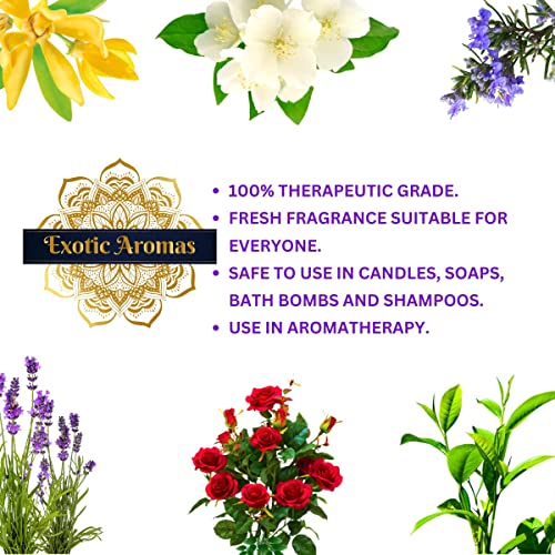 Exotic Aromas Essential Oil Lavender, Tea Tree, Rosemary, Rose, Jasmine (Pack of 5) - Image 5