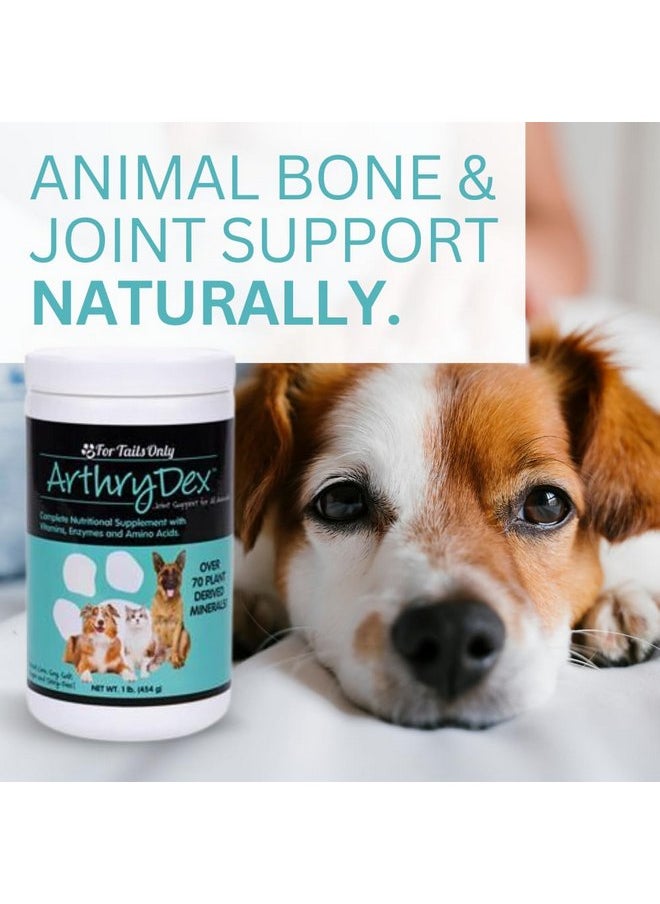 youngevity - HEALTHY PET COMBO PAK - 1 Arthrdex (1 lb.) & 1 PerPetual 60 chewables - Image 1