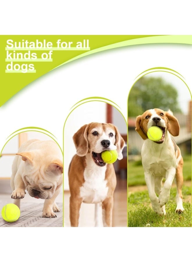 YOUWE7 Automatic Ball Thrower for Dogs, Dog Ball Thrower Launcher with 10-30 Ft Distance, Rechargeable Automatic Dog Ball Launcher - Included6pcs 2" Balls, for Dogs Indoor Outdoor (Blue) - Image 4
