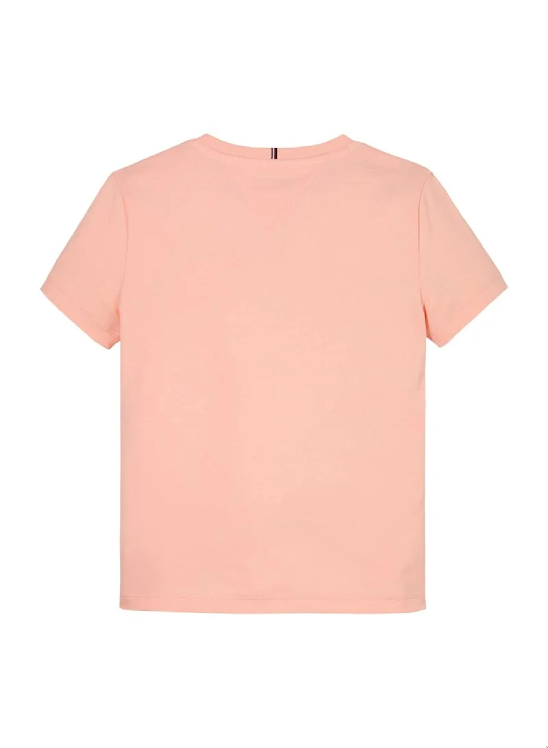 TOMMY HILFIGER Varsity Crew Neck T-Shirt