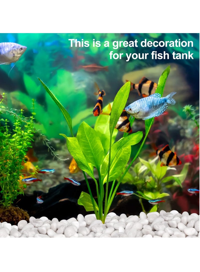 vsell24 1-2 cm White Decorative Pebbles River Rock Large White Light Polished Stones For Glassware, Vases, Outdoor Graden, Lawn Aquariums  - Image 2