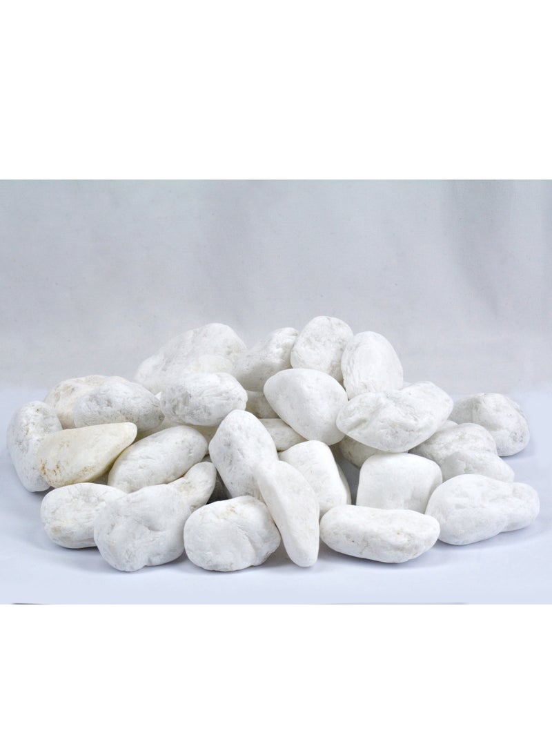 vsell24 1-2 cm White Decorative Pebbles River Rock Large White Light Polished Stones For Glassware, Vases, Outdoor Graden, Lawn Aquariums  - Image 1