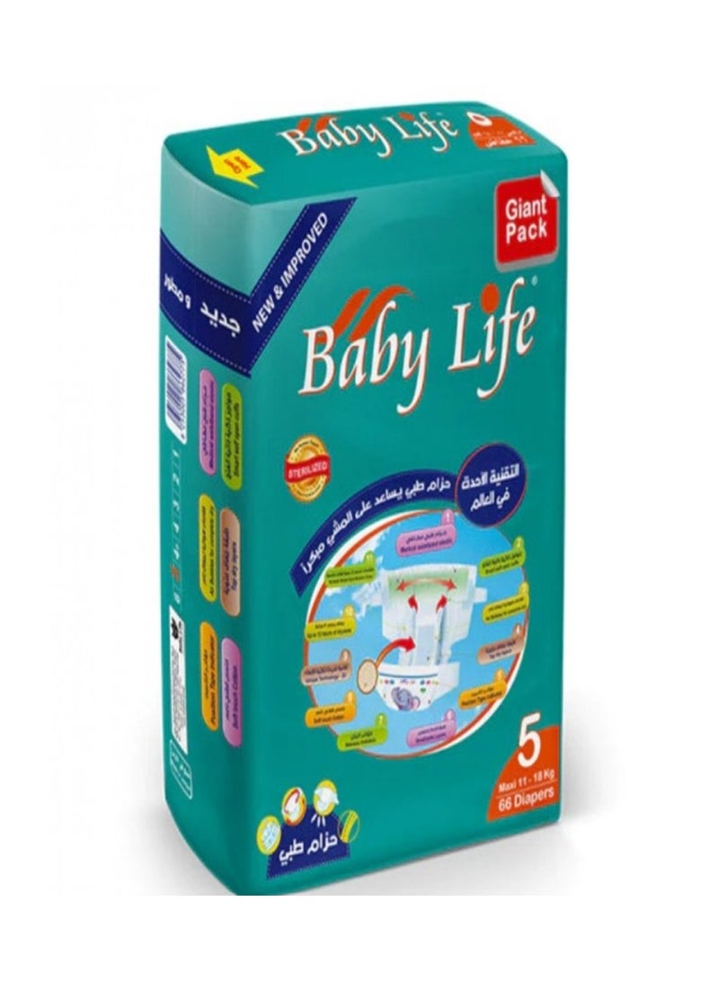 Baby Life Baby Life Diapers Maxi Value Pack No. 5 - 66 Diapers 