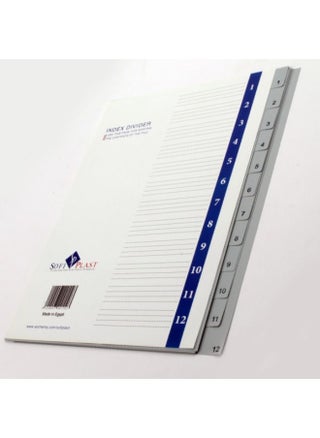 INDEX DEVIDERS PLASTIC WITH TABS AND NUMBERS 1 - 12 - pzsku/ZC52889357AB20C9E4AD6Z/45/_/1673105173/07333d85-e945-4e80-8e4d-7b4fed7f056f