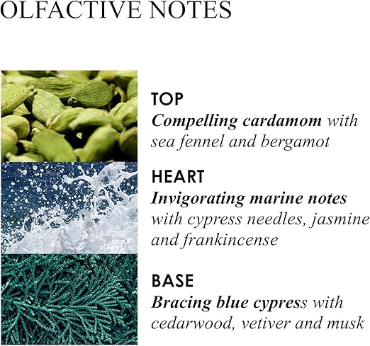 MOLTON BROWN لوشن يد سائل فاخر من مولتون براون بنكهة السرو الساحلي والشمر البحري 300 مل - Image 2