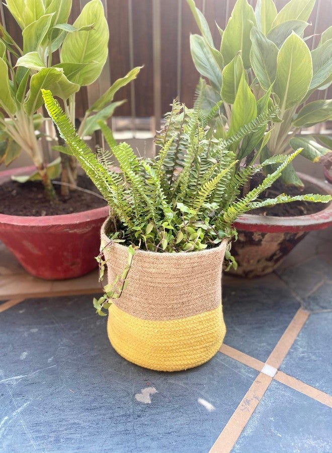 pepme Home Jute, Cotton Basket, Planter Basket for Home, Multi-Purpose Storage Bag for Bathroom, Living Room, Laundry & Toys (Yellow, 8 Inches, Pack of 1) - Image 2