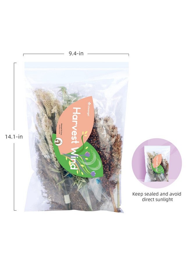 نيتينجيل طقم فراش الهامستر من نايت أنجل، مصنوع من الزهور والأعشاب الطبيعية، مناسب للهامستر والجربوع والفئران والليمون والديجوس أو غيرها من الحيوانات الأليفة الصغيرة (قصيدة "رياح الحصاد" - نسخة طبيعية) - Image 2