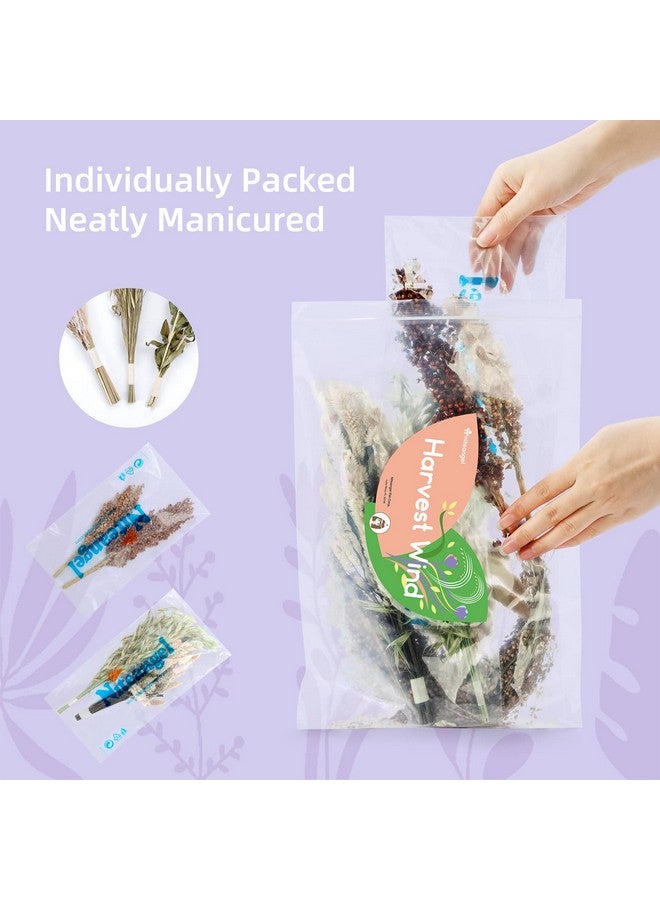 نيتينجيل طقم فراش الهامستر من نايت أنجل، مصنوع من الزهور والأعشاب الطبيعية، مناسب للهامستر والجربوع والفئران والليمون والديجوس أو غيرها من الحيوانات الأليفة الصغيرة (قصيدة "رياح الحصاد" - نسخة طبيعية) - Image 5