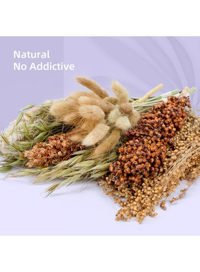 نيتينجيل طقم فراش الهامستر من نايت أنجل، مصنوع من الزهور والأعشاب الطبيعية، مناسب للهامستر والجربوع والفئران والليمون والديجوس أو غيرها من الحيوانات الأليفة الصغيرة (قصيدة "رياح الحصاد" - نسخة طبيعية) - Image 3