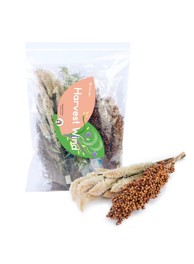 نيتينجيل طقم فراش الهامستر من نايت أنجل، مصنوع من الزهور والأعشاب الطبيعية، مناسب للهامستر والجربوع والفئران والليمون والديجوس أو غيرها من الحيوانات الأليفة الصغيرة (قصيدة "رياح الحصاد" - نسخة طبيعية) - Image 1