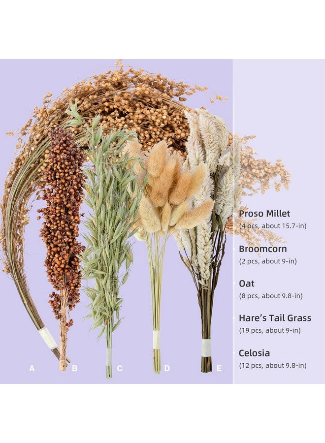 نيتينجيل طقم فراش الهامستر من نايت أنجل، مصنوع من الزهور والأعشاب الطبيعية، مناسب للهامستر والجربوع والفئران والليمون والديجوس أو غيرها من الحيوانات الأليفة الصغيرة (قصيدة "رياح الحصاد" - نسخة طبيعية) - Image 4