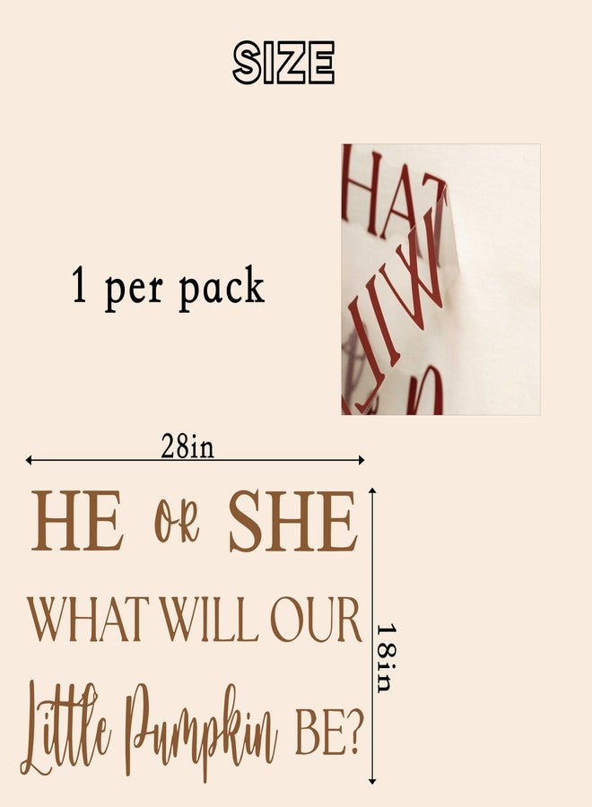 Capiont He or She What Will Our Little Pumpkin Be Gender Reveal Party Decal - Halloween Pumpkin Themed Fall Thanksgiving Baby Shower Decor Supplies,Balloon Arch Backdrop Wall Stickers (he she Pumpkin) - Image 2