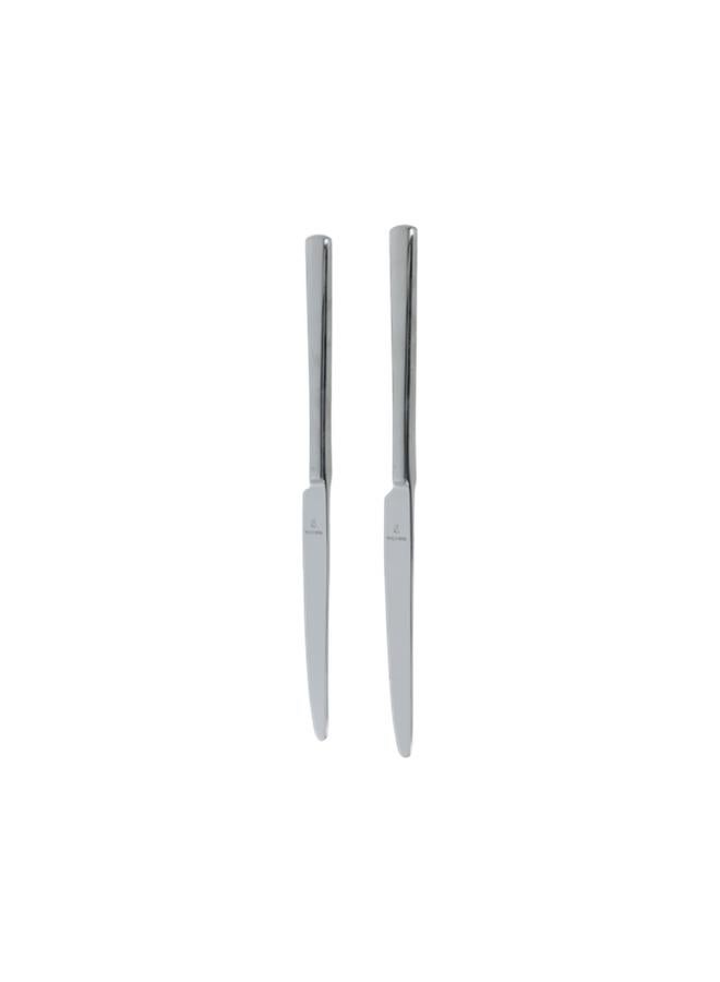 Amefa 2-Piece Table Knife Silver  - Image 2
