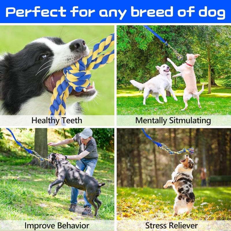 XiaZ Tug of War Dog Toy, Interactive Dogs Toy Bungee Hanging Tether with 2 Chew Rope Toys, Heavy Duty Puppy Outdoor Activity Aggressive Chewers Best Small to Large Boredom Exercise and Play (Blue) - Image 3