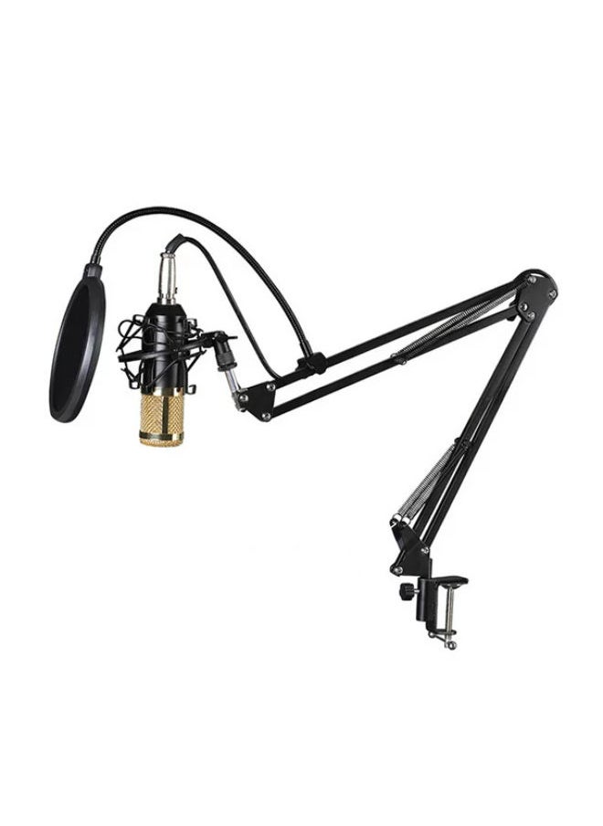 SHOPI - Streaming Microphone Kit With Audio Mixer And Condenser Microphone Set For Podcast Live Broadcast Podcast And BM800 Kit - Image 1