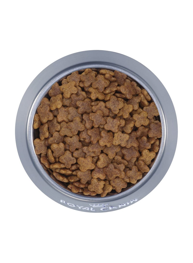 ROYAL CANIN طعام جاف للكلاب البالغة الصغيرة 800 جرام - Image 4