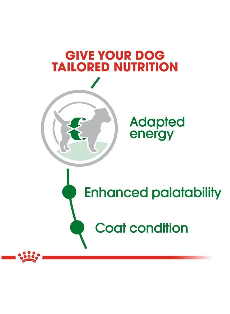 ROYAL CANIN طعام جاف للكلاب البالغة الصغيرة 800 جرام - Image 2