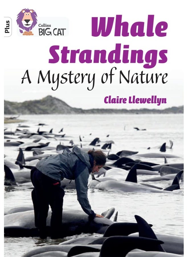 Whale Strandings: A Mystery of Nature: Band 10+/White Plus
