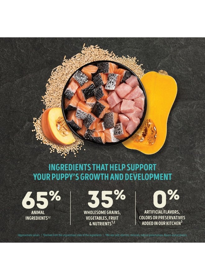 (أسنى) طعام الكلاب الجاف ACANA™ Wholesome Grains Puppy Sea & Farm Recipe، 4 رطل - Image 2